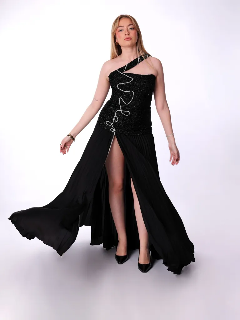 HD4500 429 Jenia Gala 2026-01-23.webp