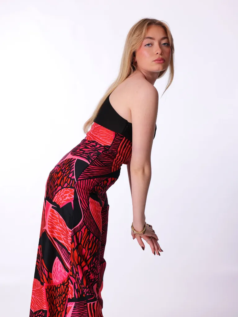 HD4500 538 Jenia Gala 2026-01-23.webp